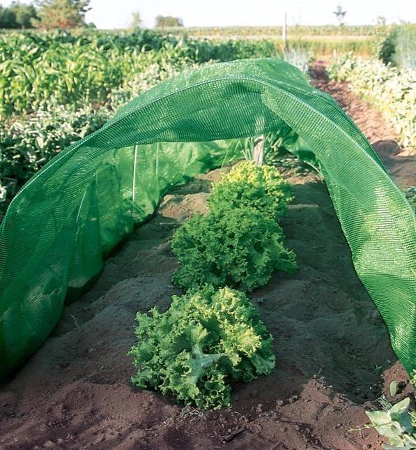 Shade Net Gardening Advantages