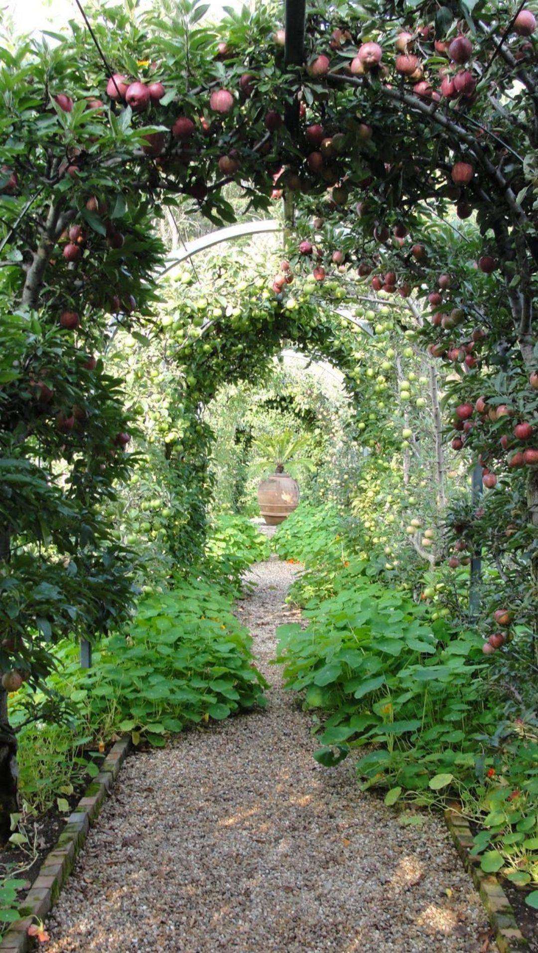 Sunnydaze Wooden Garden Arbor Walkway Wedding Arch Garden Accent