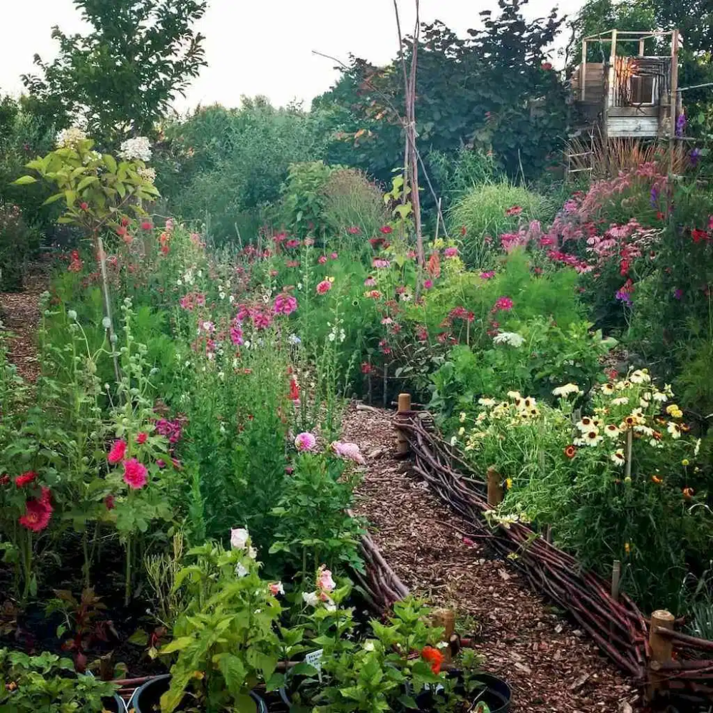 Beautiful Backyard Garden Path