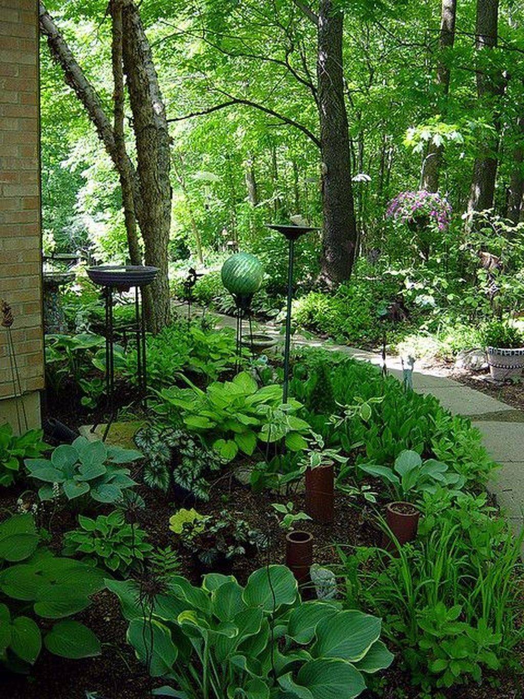 Beautiful Shade Garden Design Ideas Page