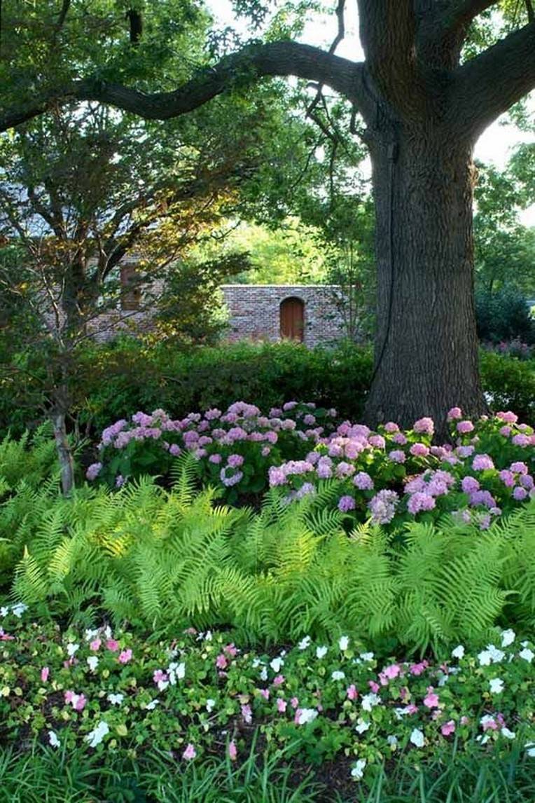 Excellent Shade Garden Design Ideas Page