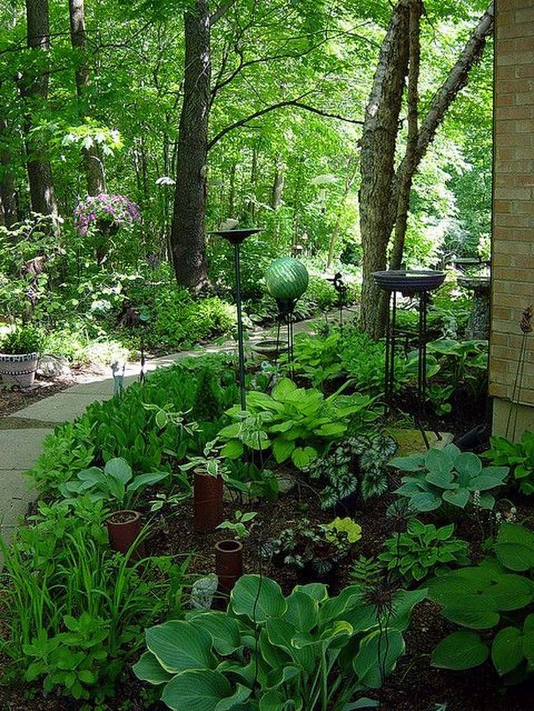 Superb Shade Garden Design Ideas