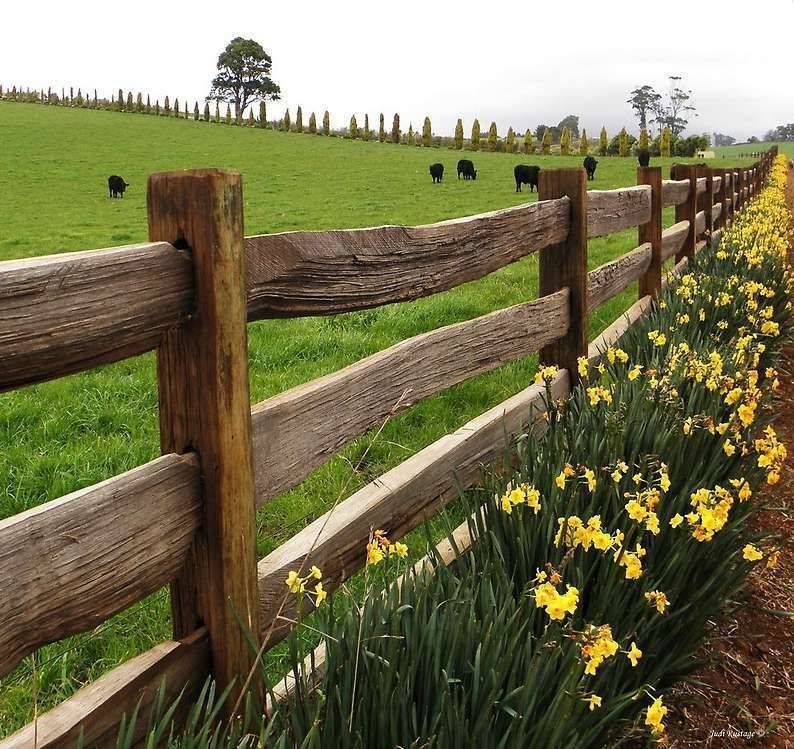 Fantastic Rustic Garden Gates