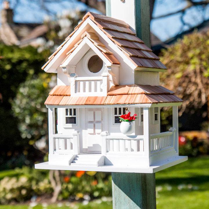 Cool Birdhouse Design Ideas