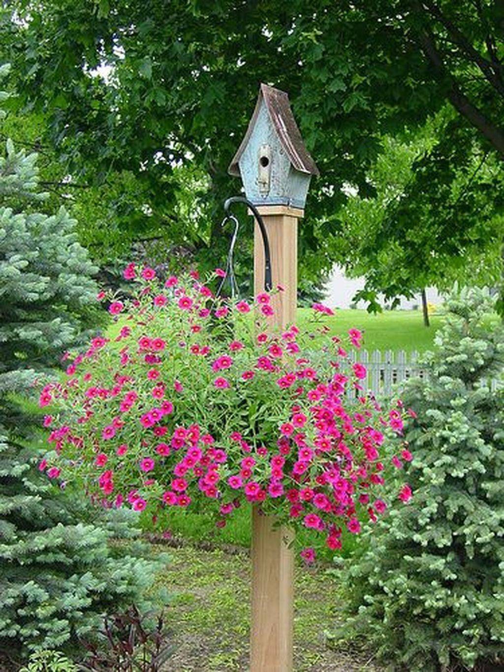 Bird House Kits