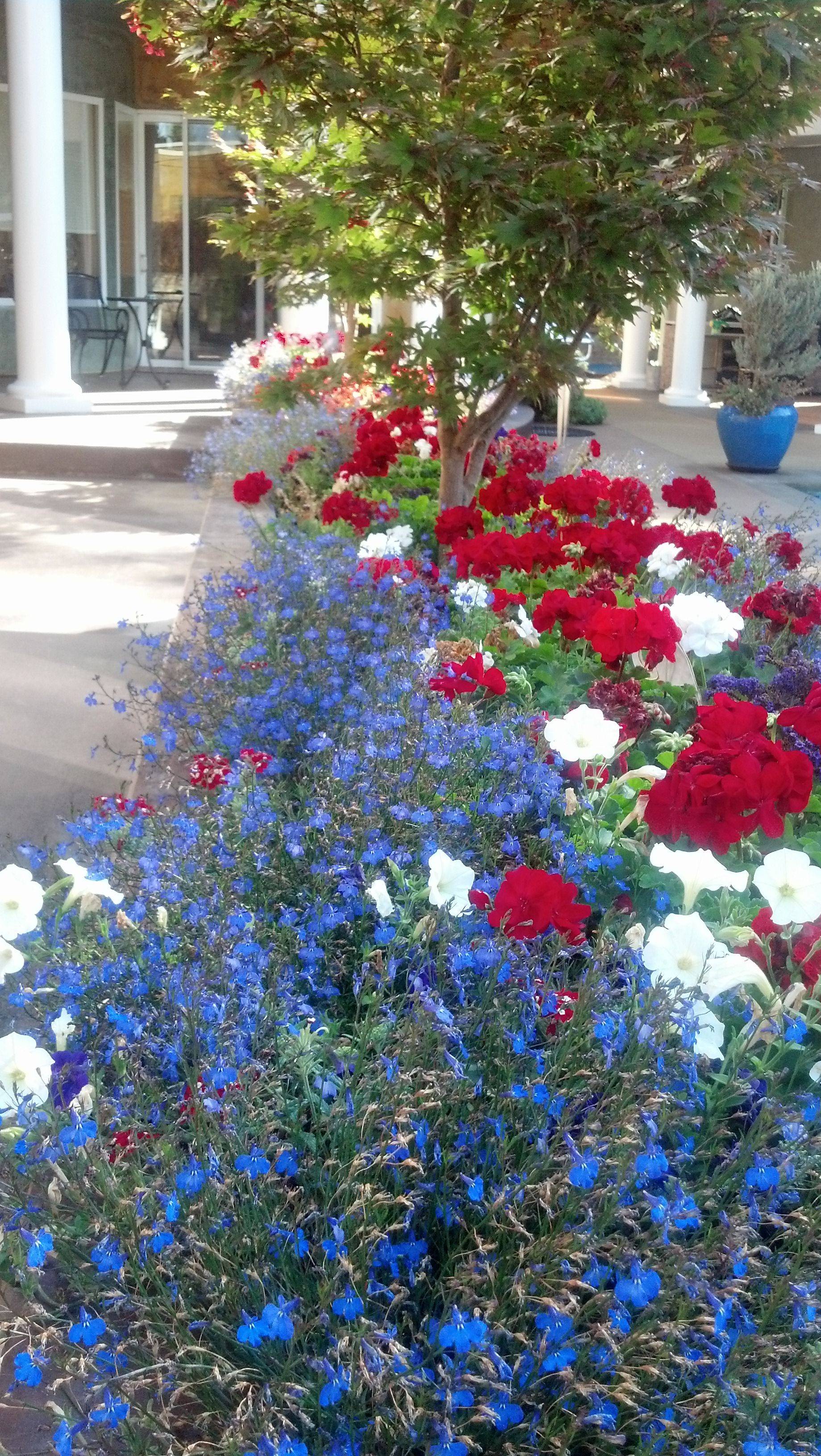 Floral Installations