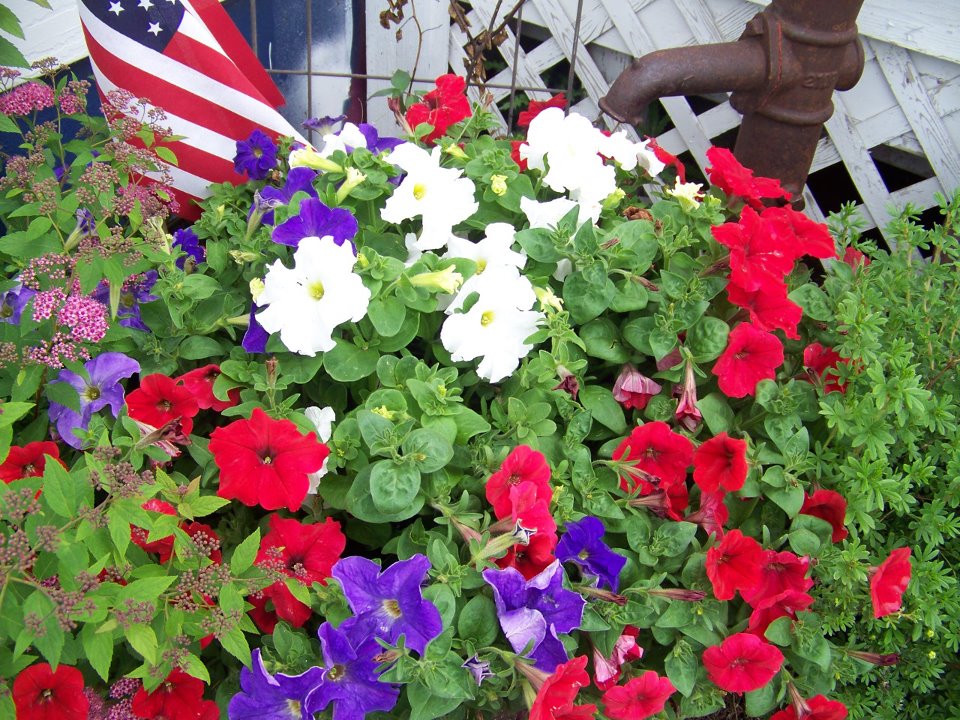 Circular Mini Garden