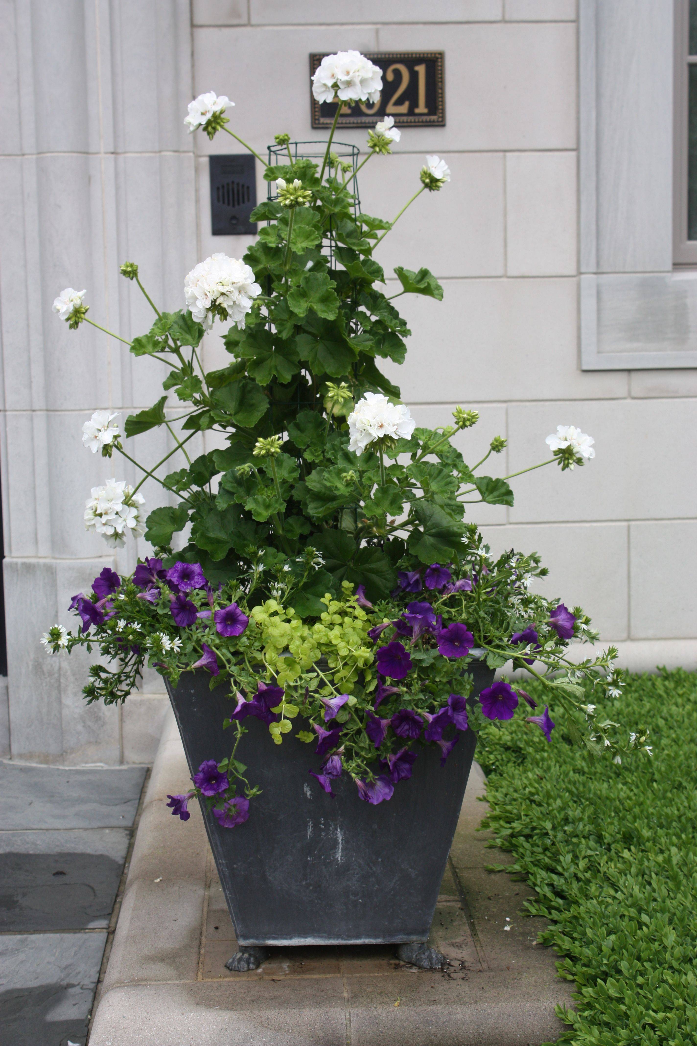 Stunning Container Garden Ideas