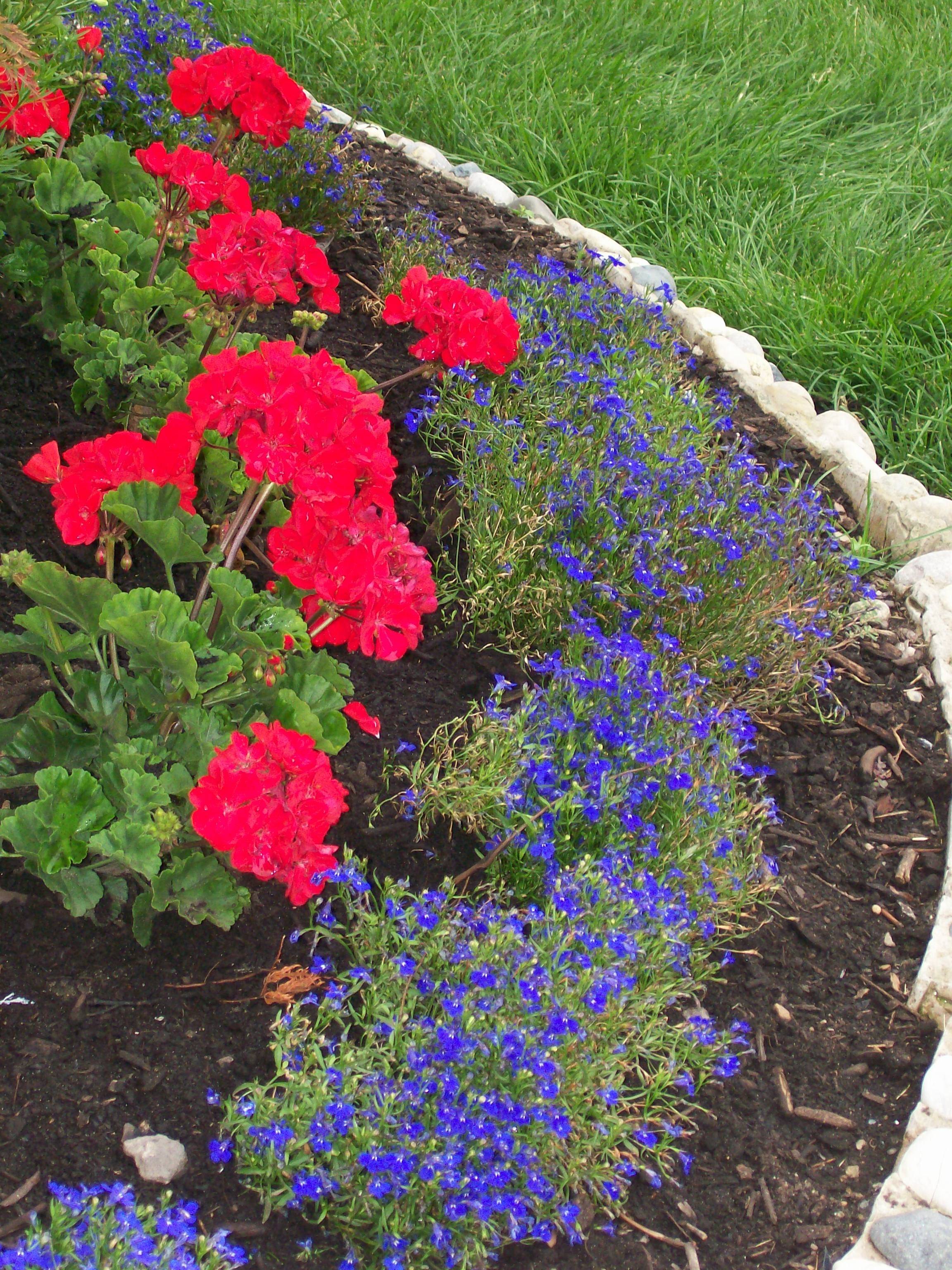 Easy Flower Garden Design Ideas Home Garden Joy