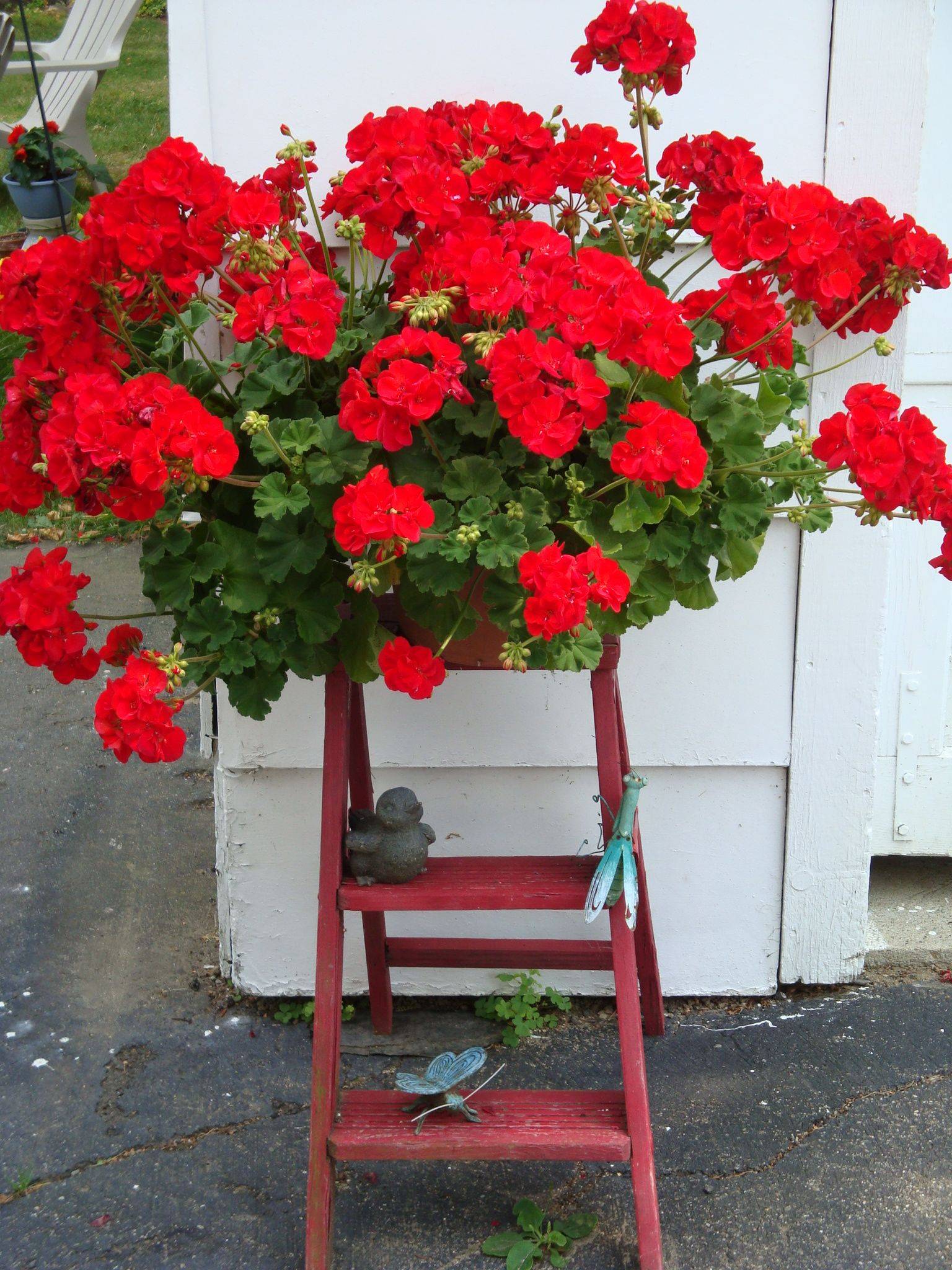 Front Porch Flower Pot Flower Garden Design