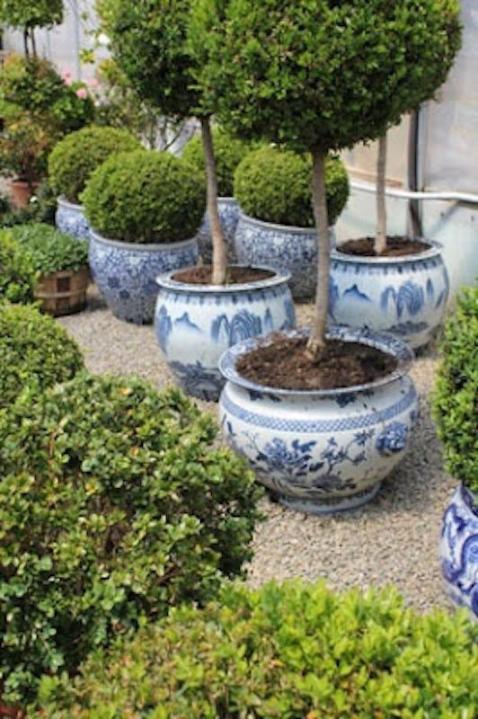 Garden Ideas Empress