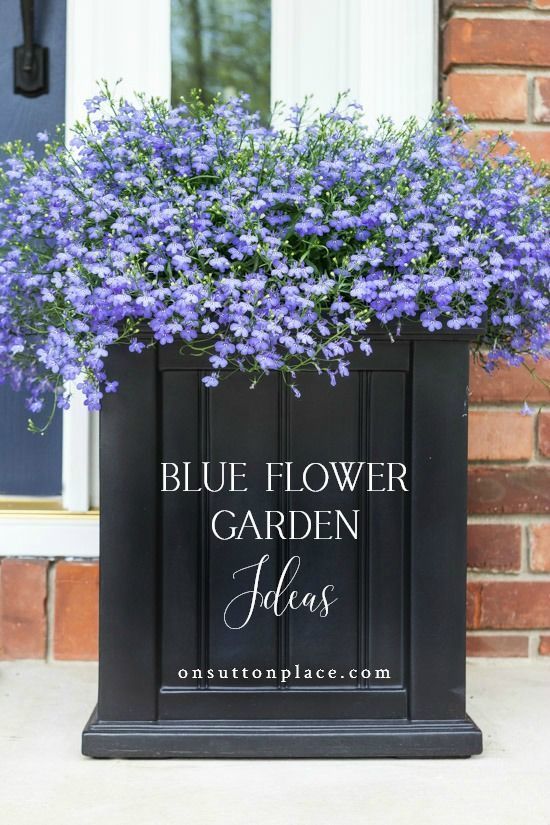 Garden Ideas Empress