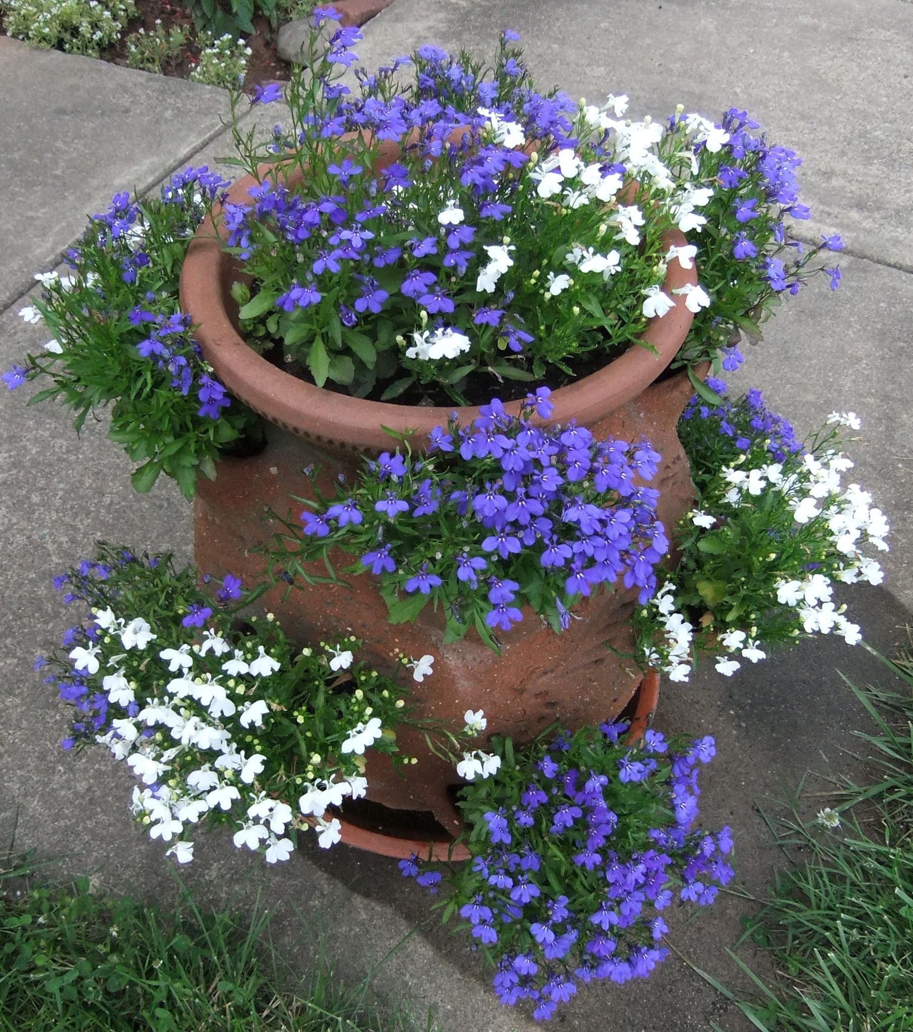 Old World Vintage Blue And White Ceramic Garden Planter