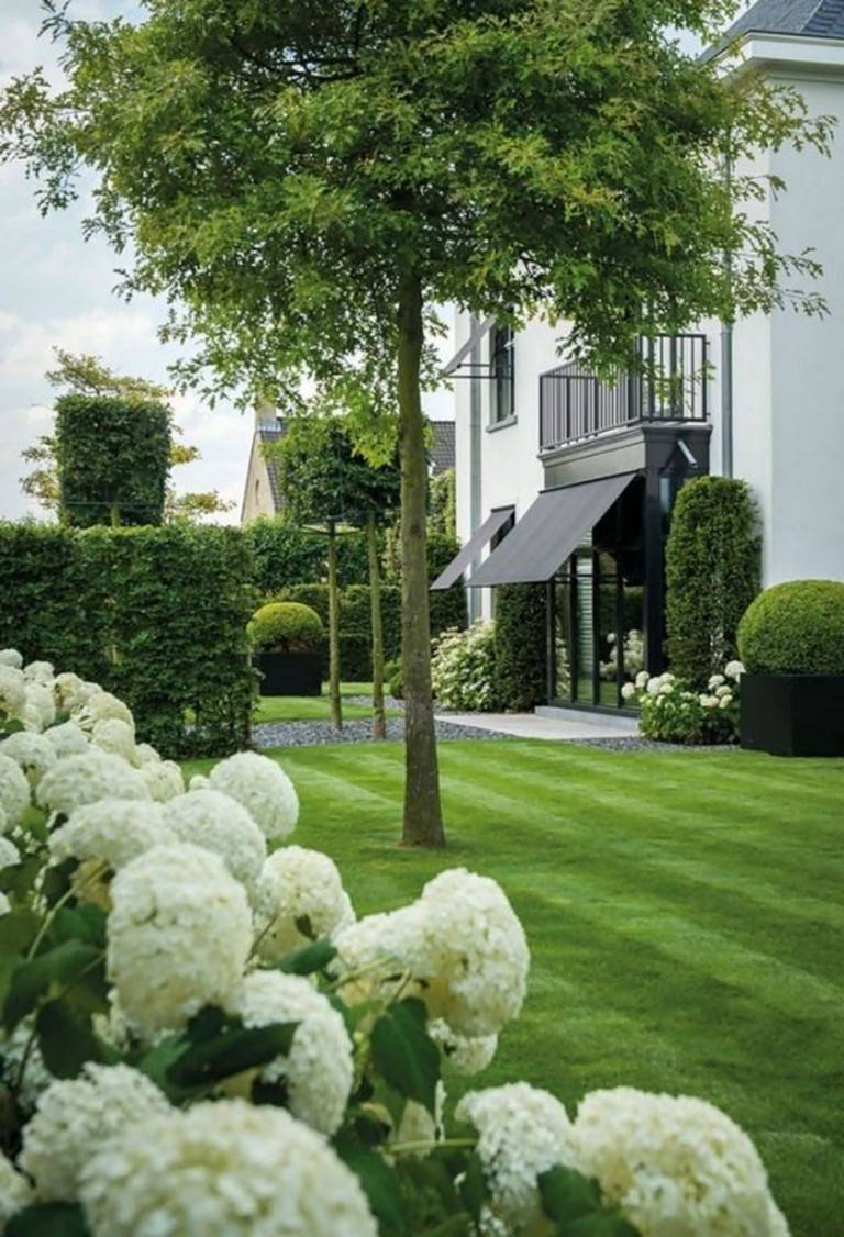 Beautiful Green And White Garden Ideas