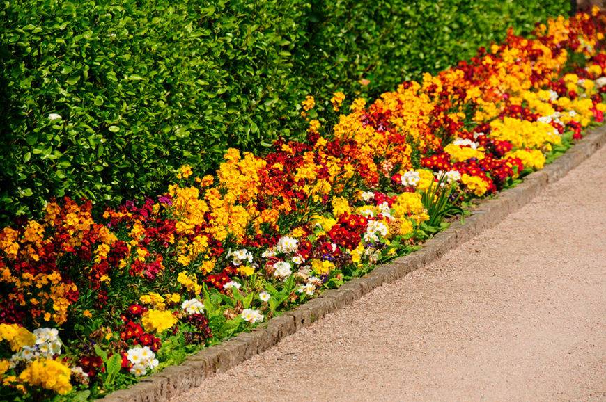 Front Yard Landscaping