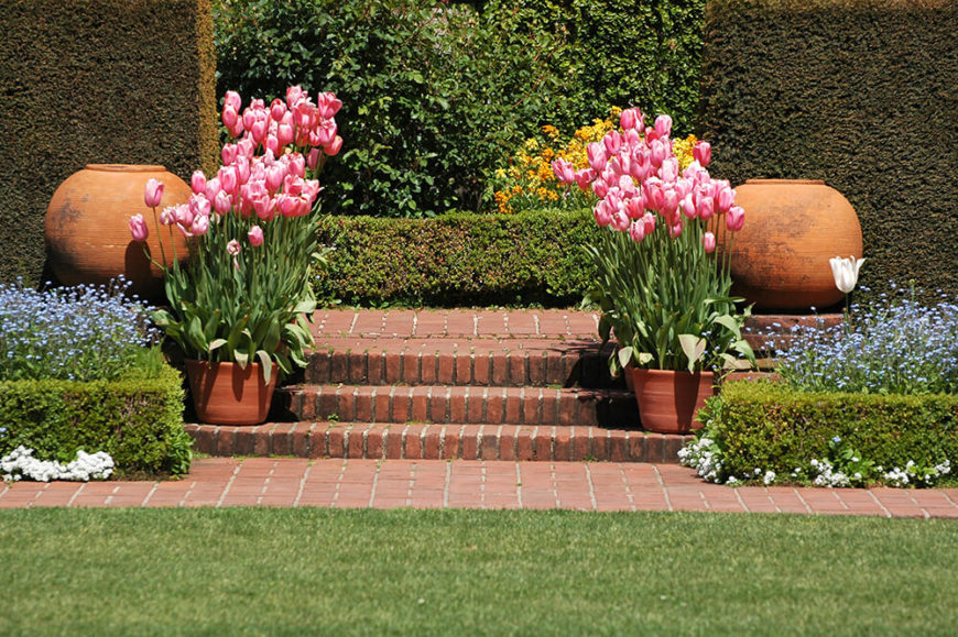 This Colorful Garden Plan