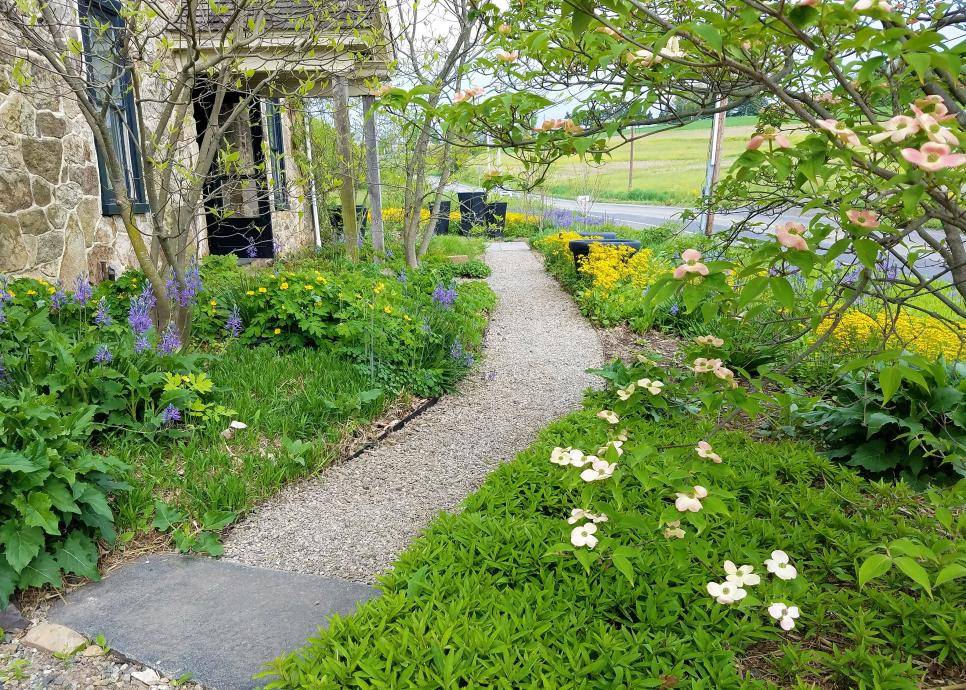 Small Cottage Garden Ideas