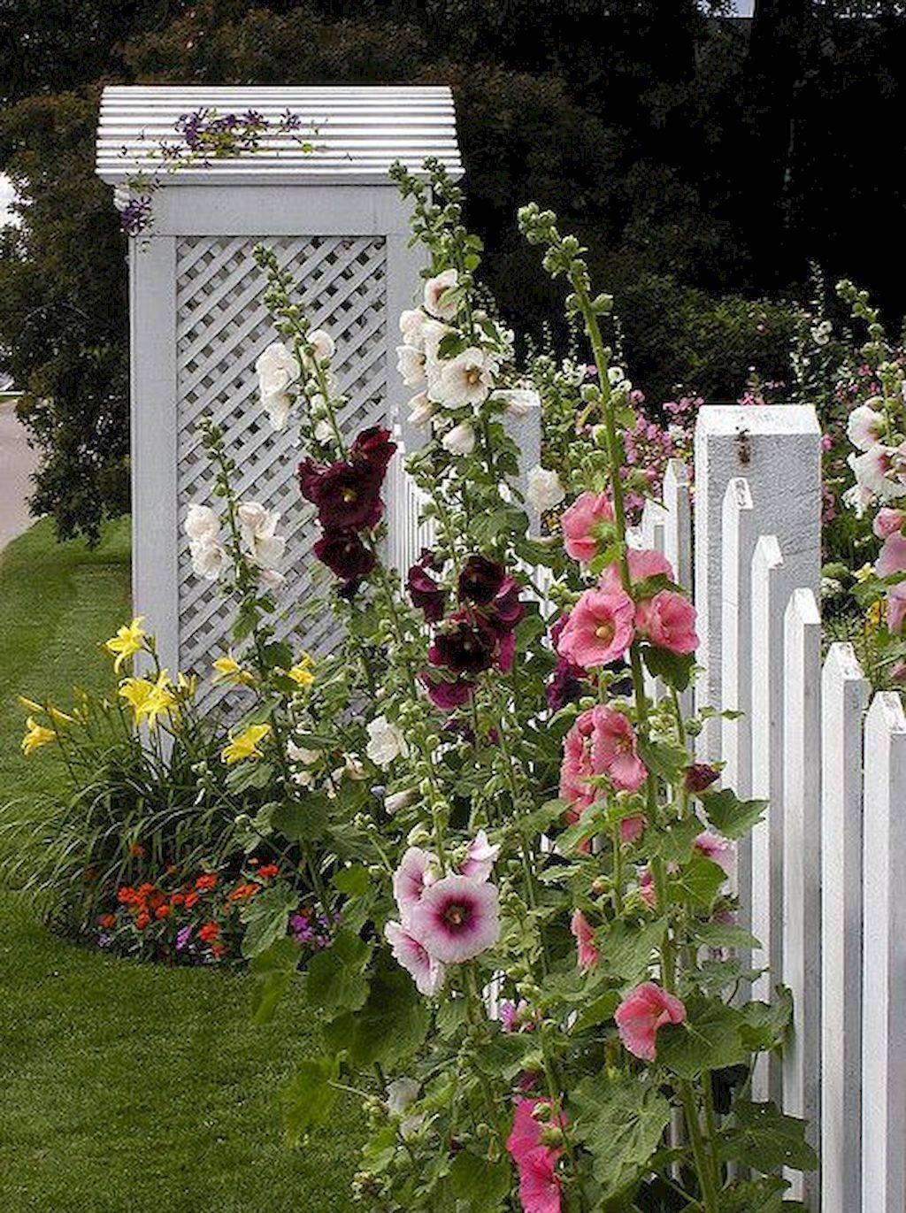 Beautiful Fence Designs