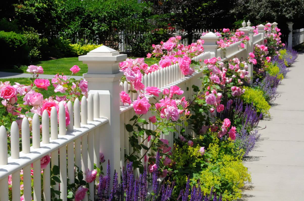 Picket Fence Garden