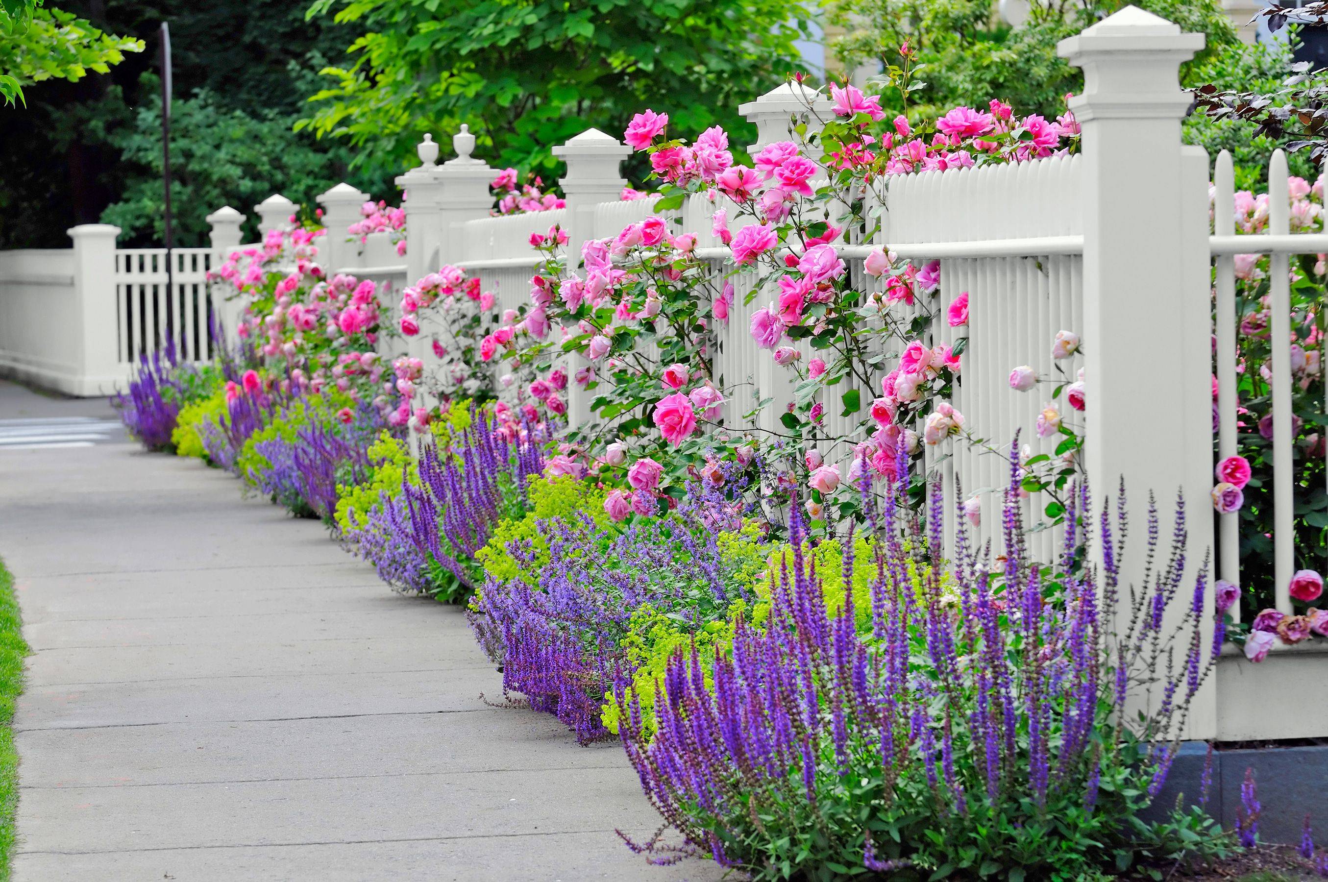 French Gothic White Picket Fence Flowers