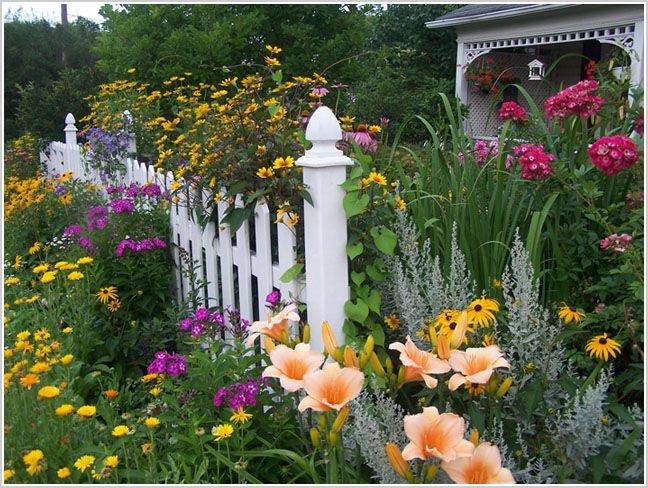Cottage Garden