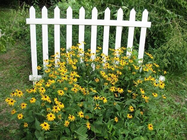 Country Cottage Garden