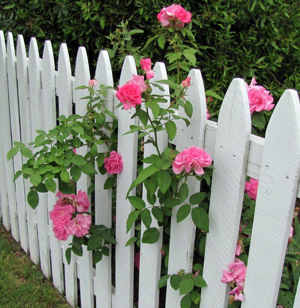 The Farmhouse Weddings Garden Backdrops