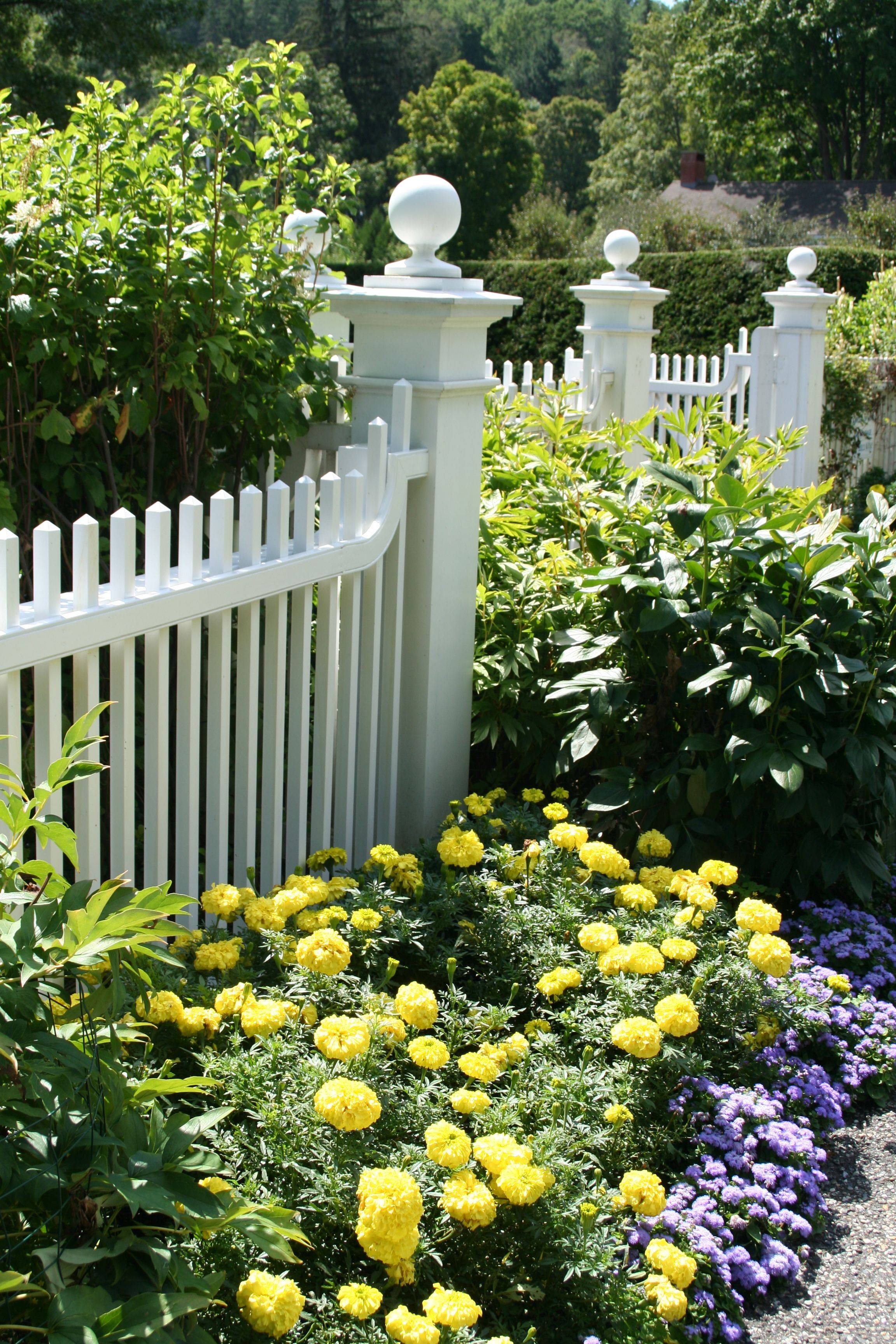 White Picket Fence Garden Picket Fence Garden