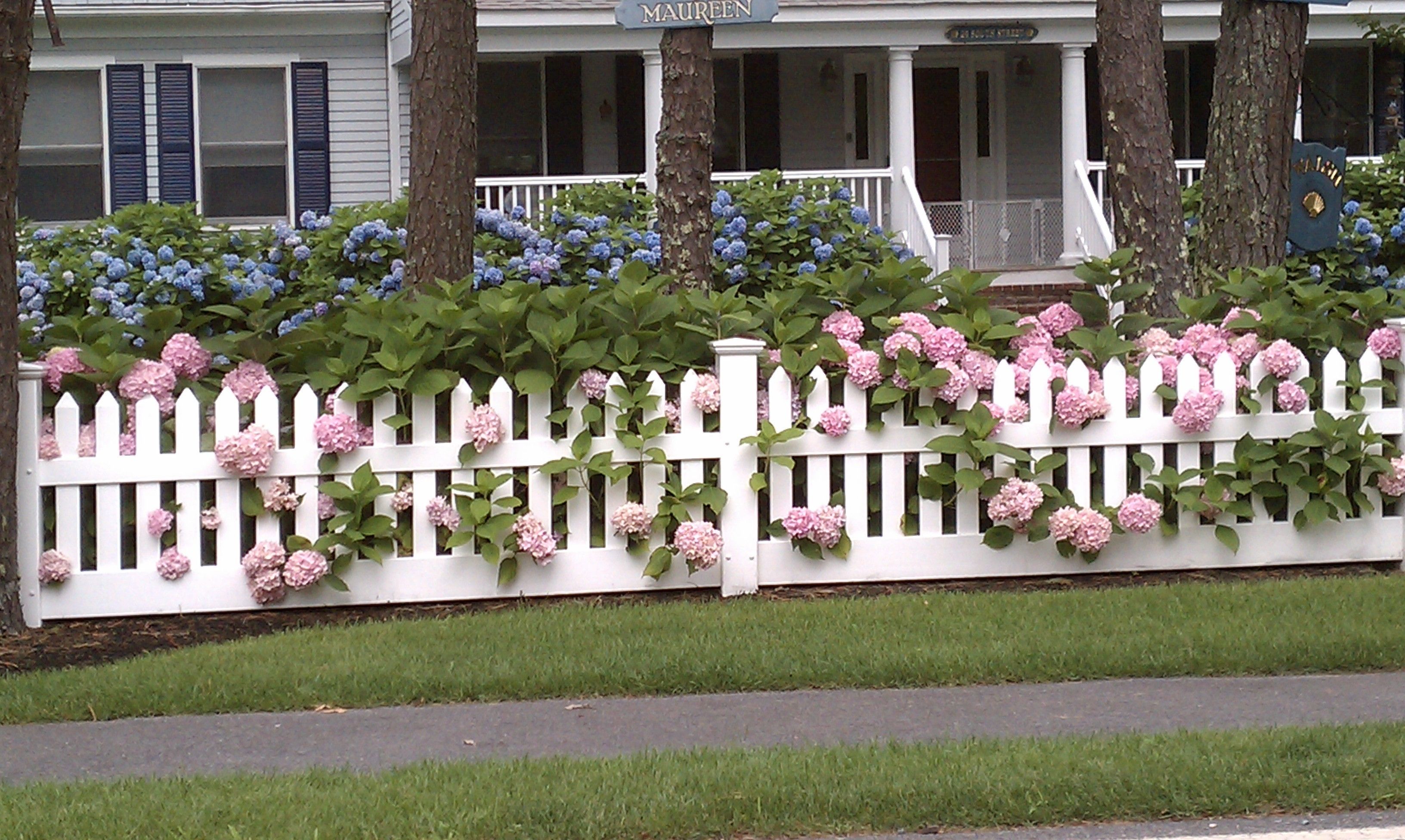 White Picket Fence Garden Ideas