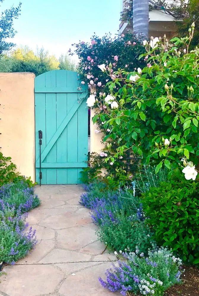Red Eden Climbing Rose
