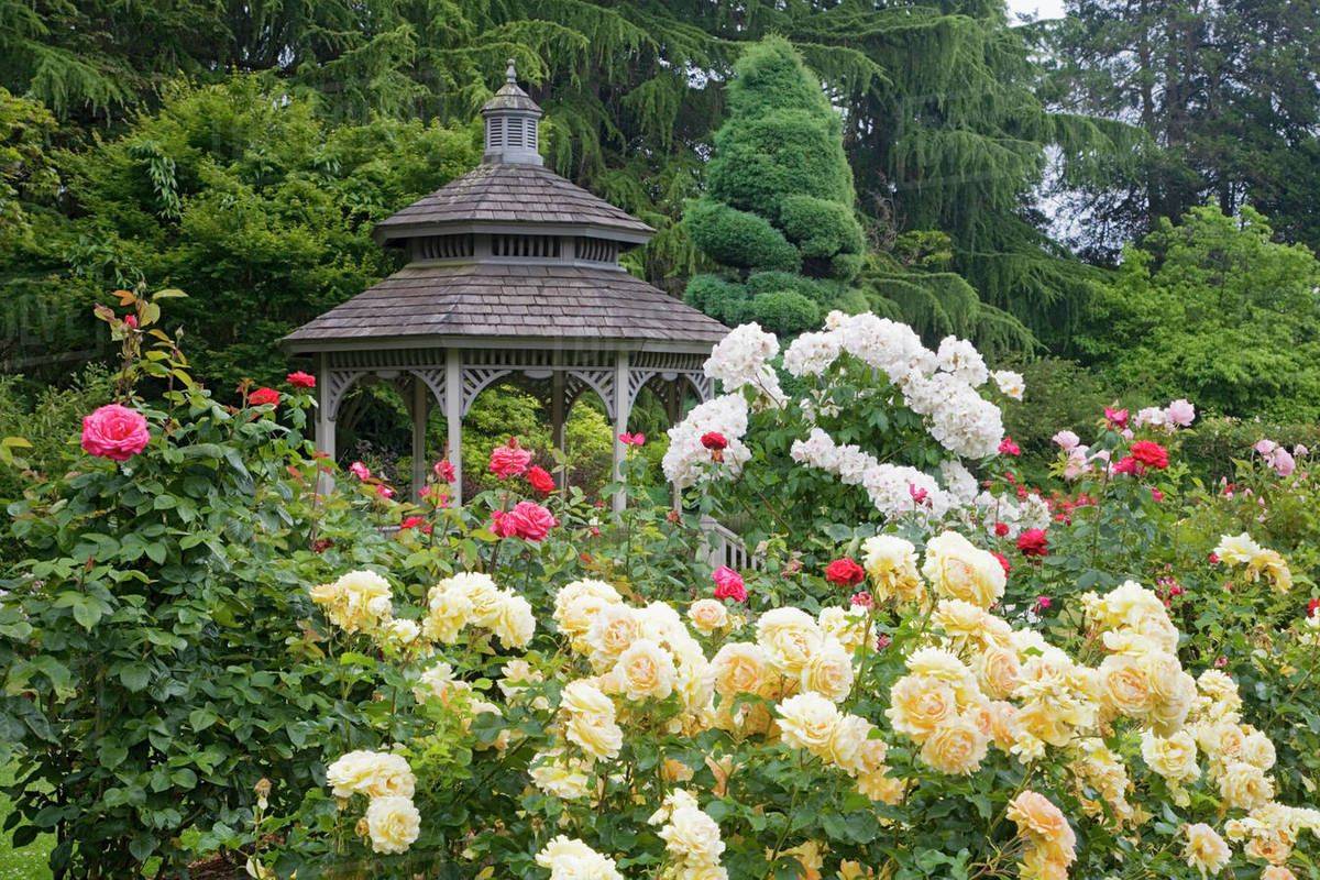 Rose Cottage Fredericksburg Garden Fence