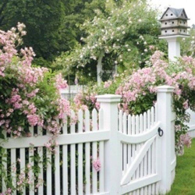 Fence Post Cottage Garden