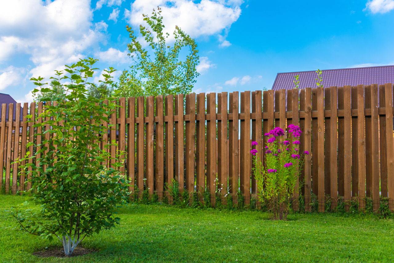 Modern Garden Fence Design