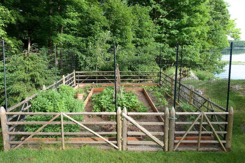 Vegetable Garden Fence Panels