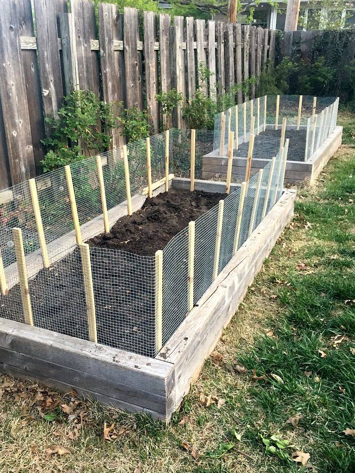 Raised Bed