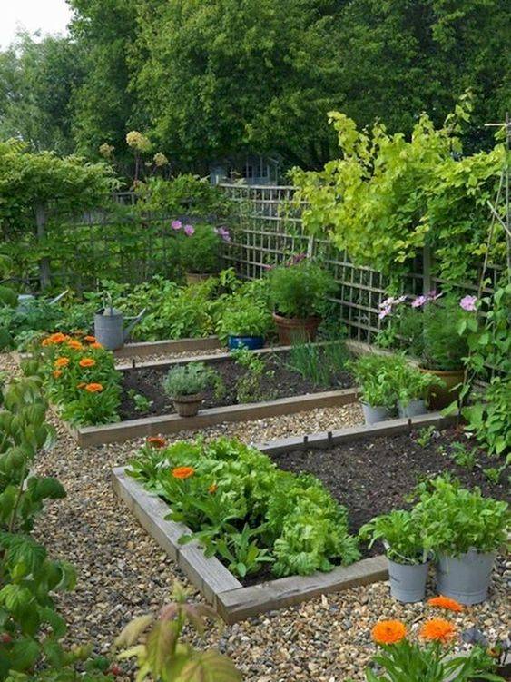 Inspiring Small Vegetable Garden Ideas Gardenideazcom