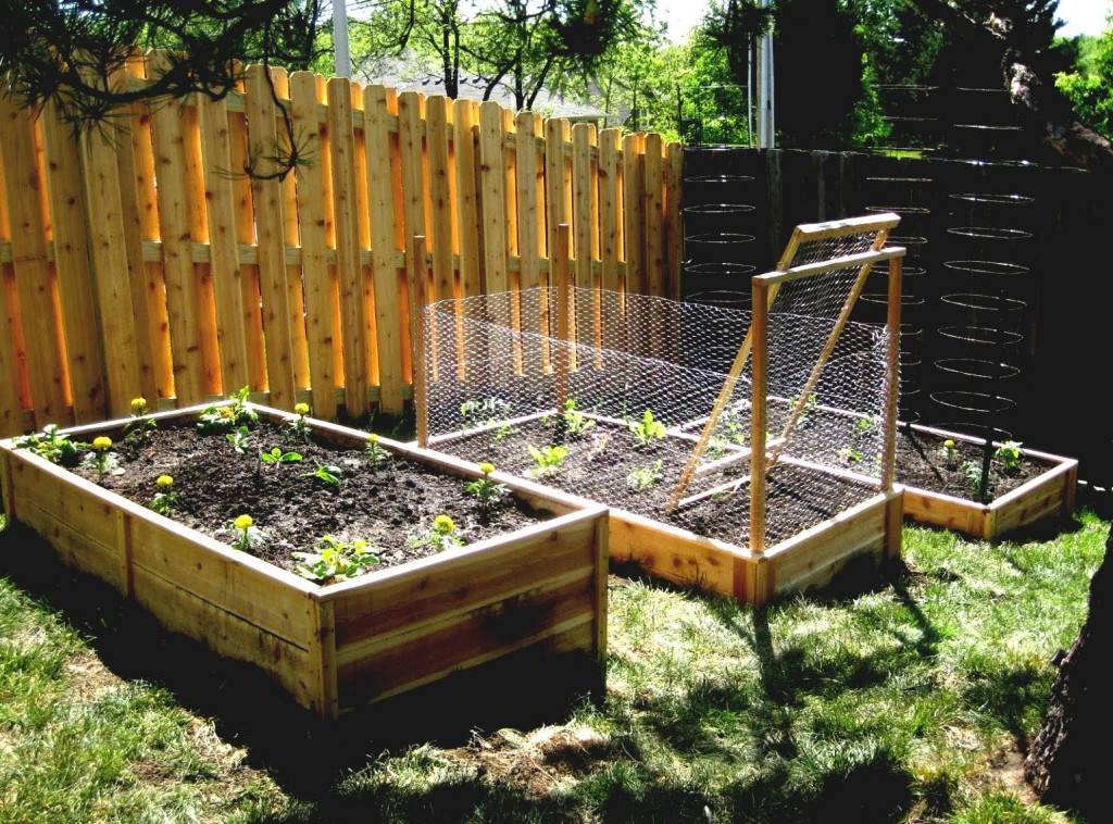 Vegetable Garden Fence Ideas Hawk Haven