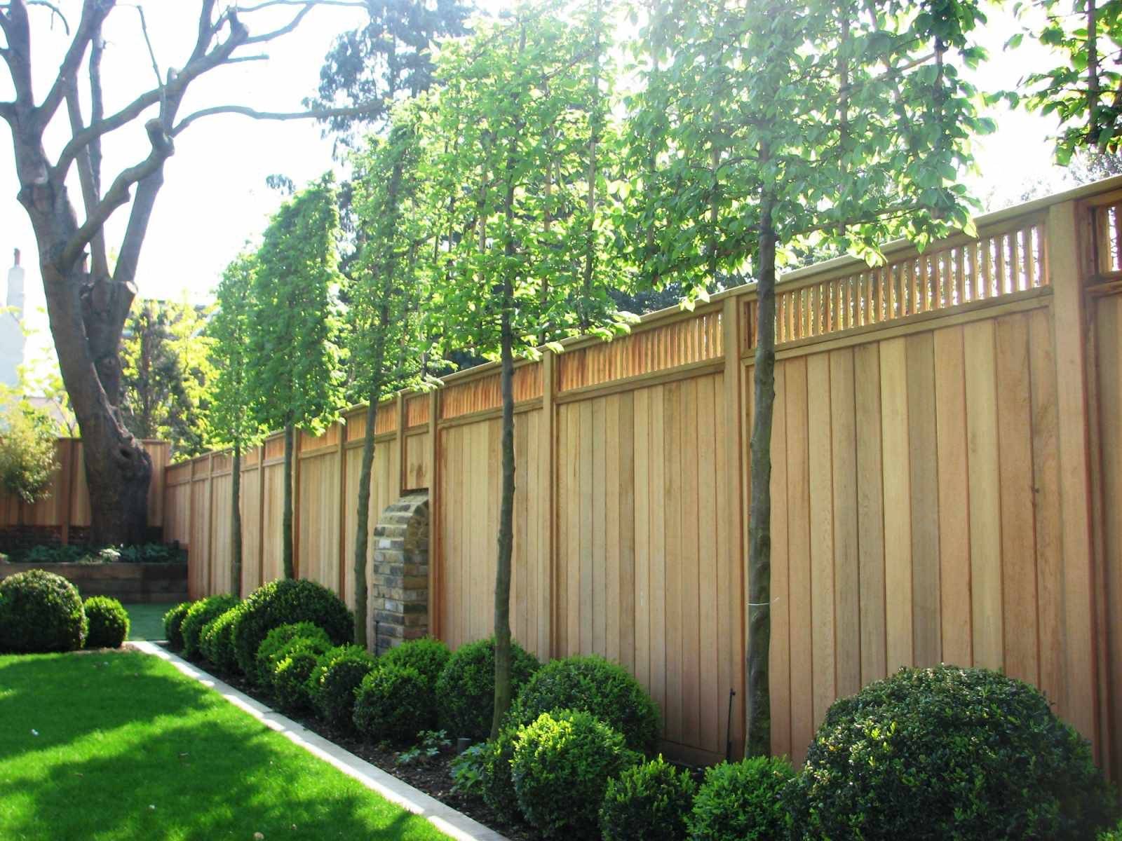 Top Garden Fence Ideas Trends