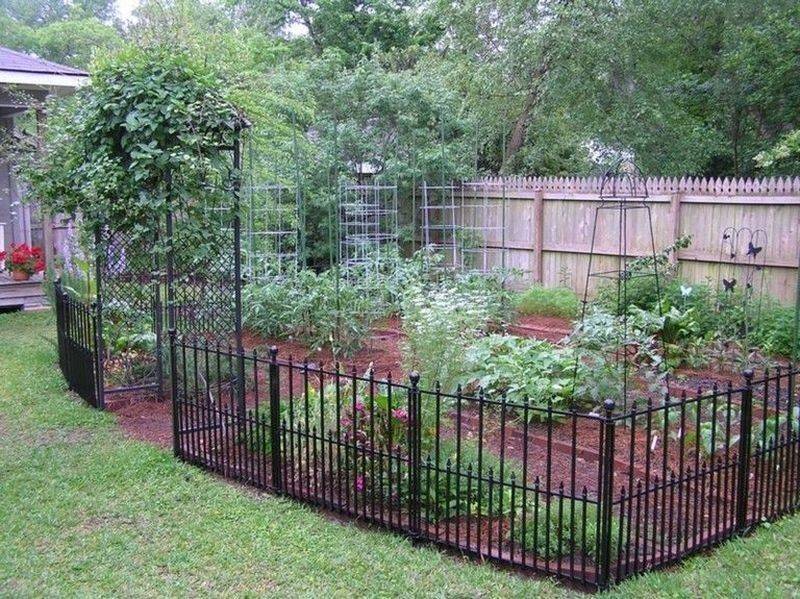 A Cute Little Veggie