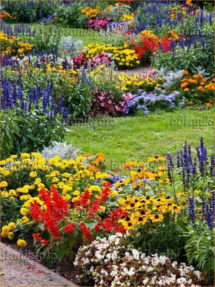 21 Cottage Perennial Border Garden Ideas You Must Look SharonSable