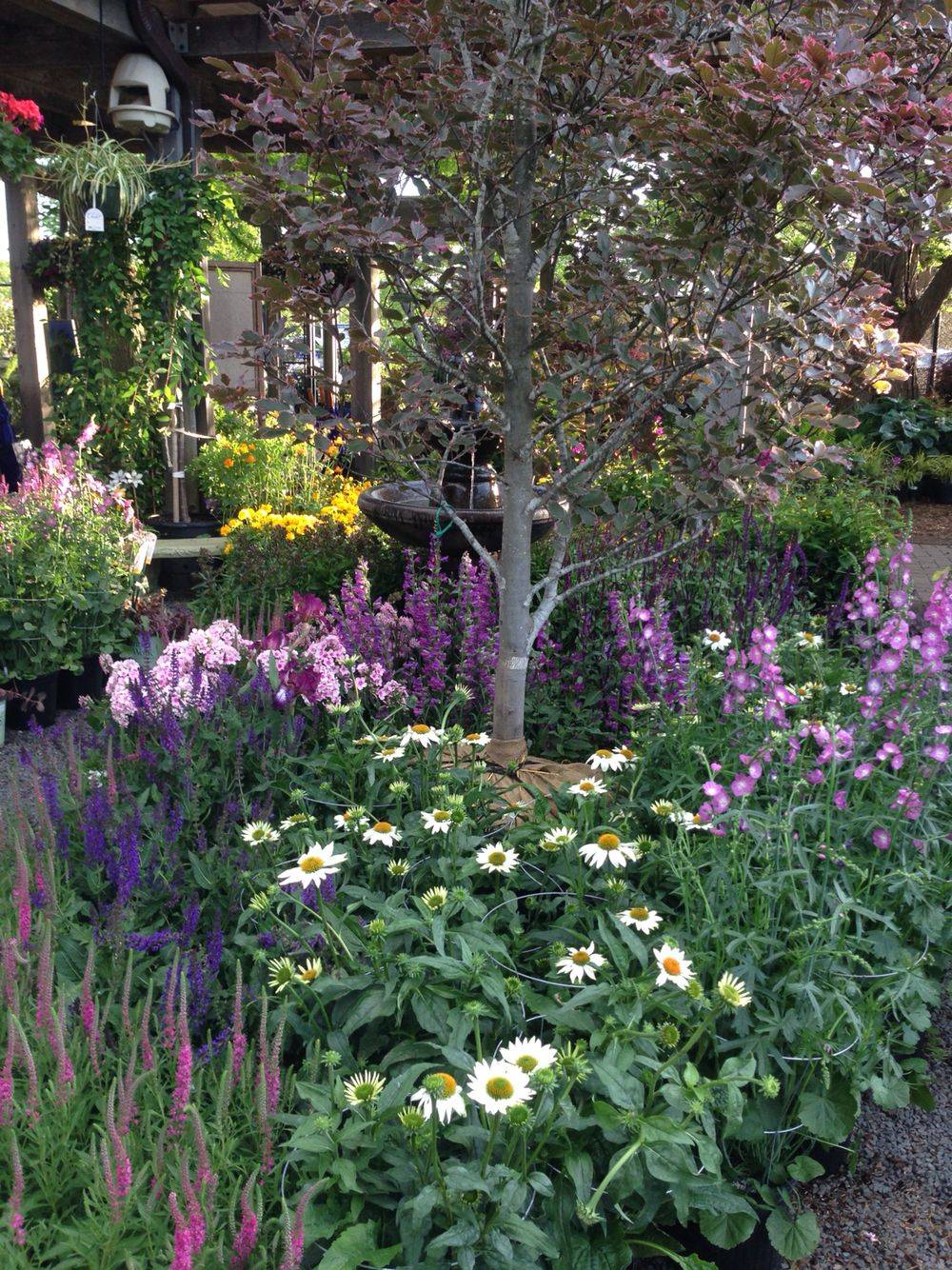 Pretty Cottage Garden Ideas