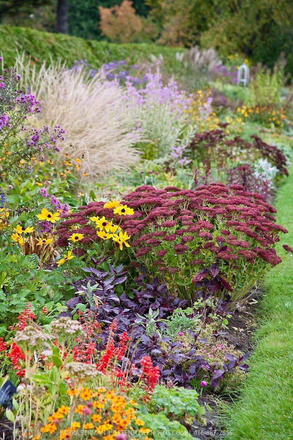 21 Cottage Perennial Border Garden Ideas You Must Look SharonSable