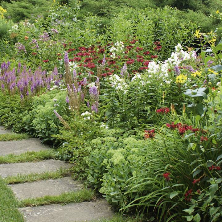 21 Cottage Perennial Border Garden Ideas You Must Look SharonSable