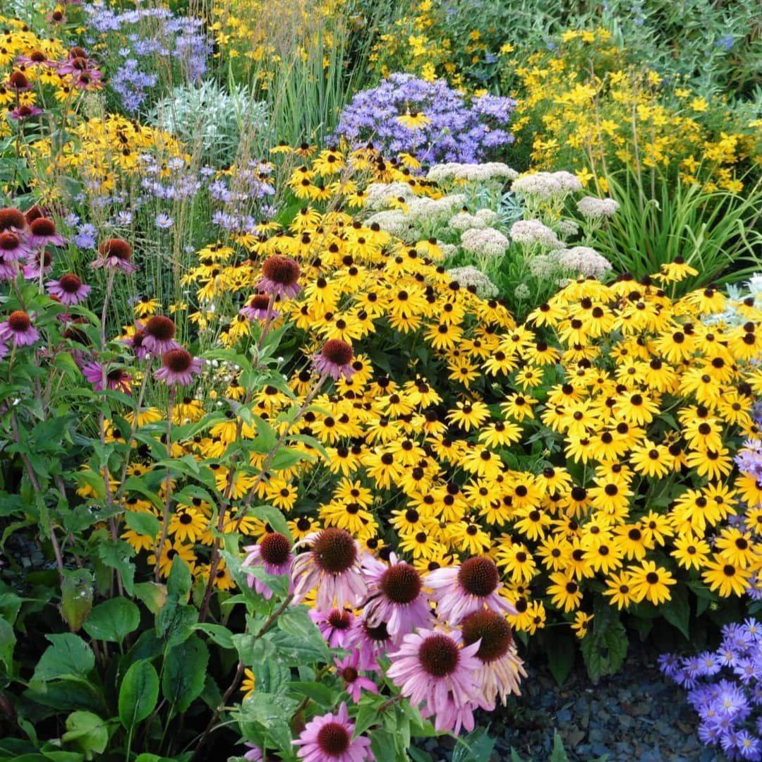 21 Cottage Perennial Border Garden Ideas You Must Look SharonSable