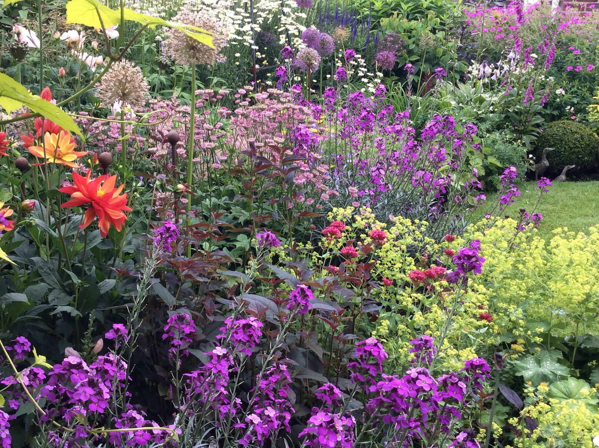 Perennial Fence Garden Google Search Small Cottage
