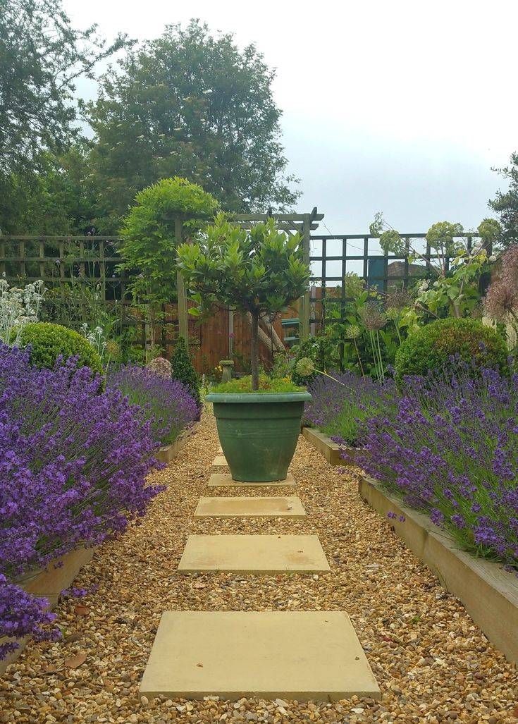 Best Garden Border Ideas Images