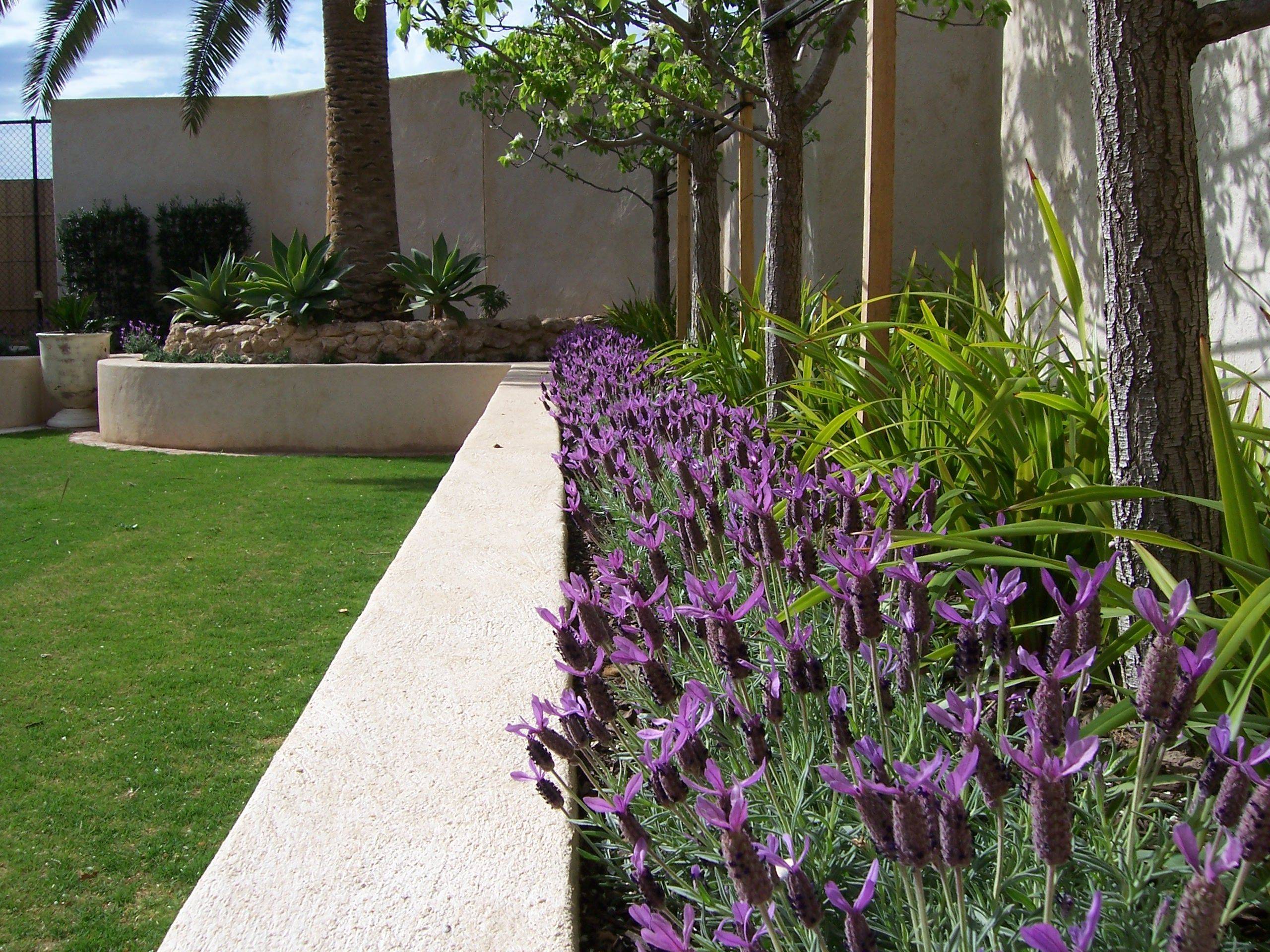 French Lavender French Country Garden