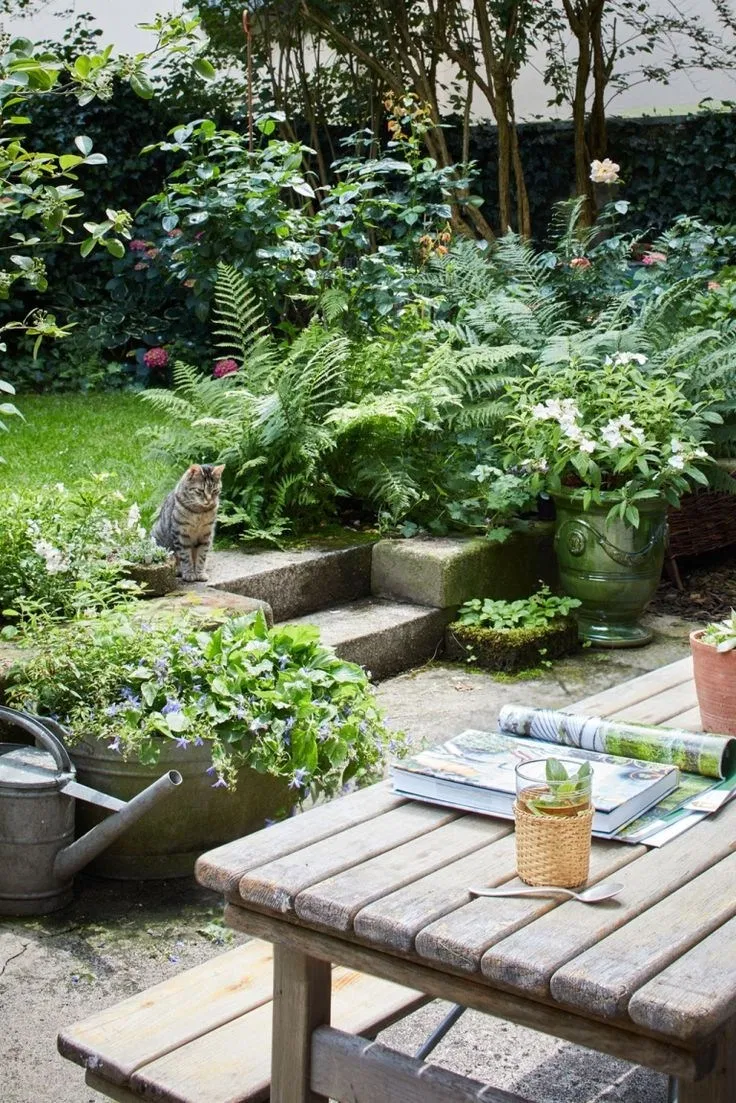Beautiful Backyard Garden Path