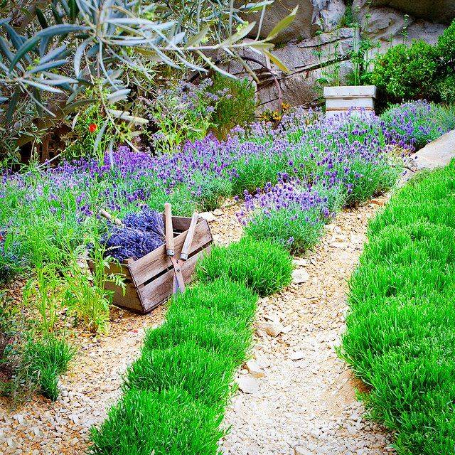 Our Sweet Romance Lavender