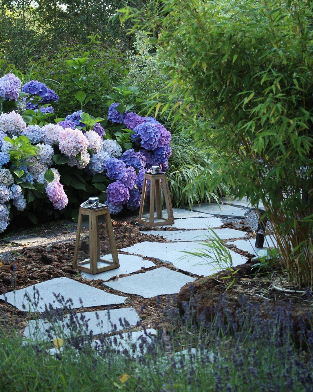 Lavender Garden Lavender Garden